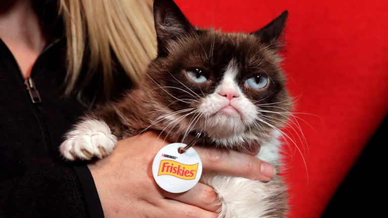 RIP Grumpy Cat: The Internet’s Favorite Feline Has Died at Age Seven