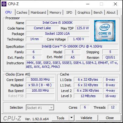 Intel Core i5-10600K CPUz 5GHz Overclock