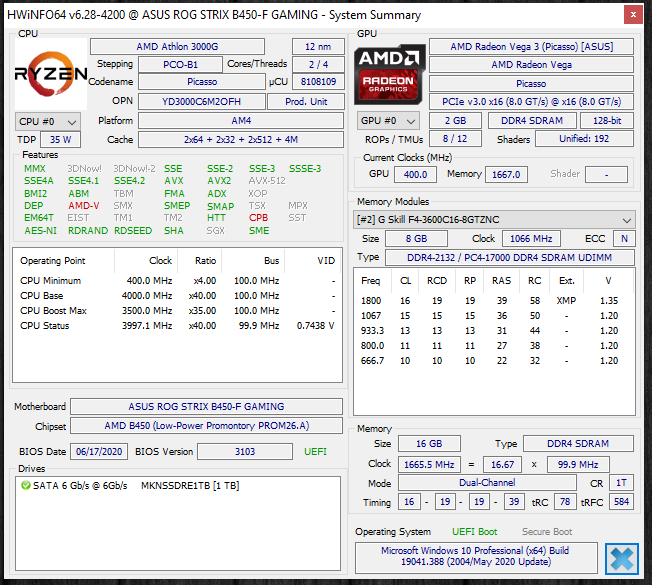 AMD Athlon 3000G Review with Overclocking HWiNFO64 System Summary Overclocked