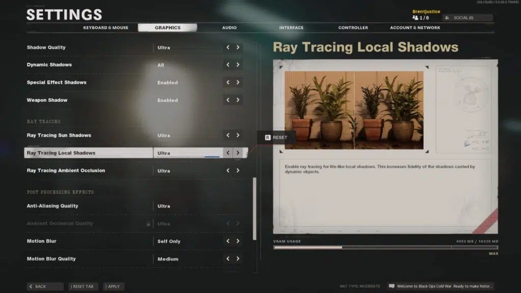 AMD Radeon RX 6800 XT and Radeon RX 6800 Call of Duty Black Ops Cold War Ray Tracing Settings