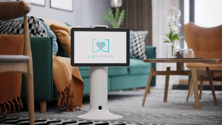 Joipaw Is a Video Games Console for Dogs