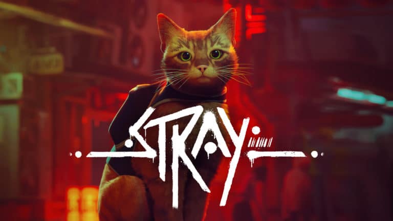 Stray Movie Announced by Annapurna Pictures