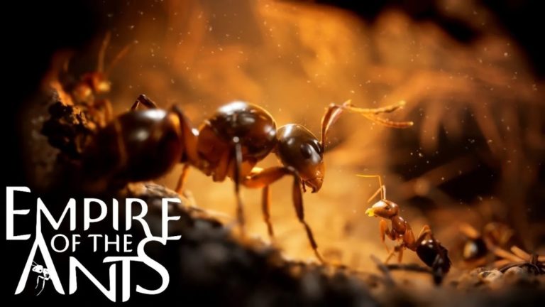 Empire of the Ants Is a Photo-Realistic Third-Person RTS Based on the Book Series That Uses Unreal Engine 5 and Is Planned for a 2024 Release