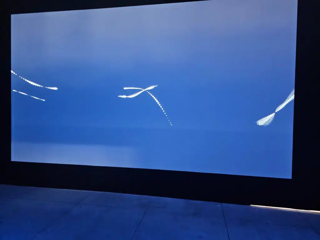 Ecological Pool by the crew at Dimension + Picture