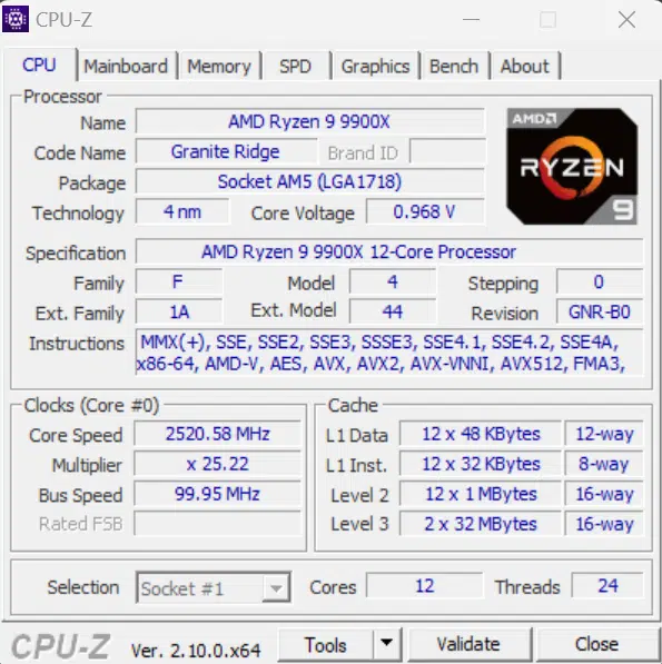 AMD Ryzen 9 9900X CPU-Z CPU Tab Screenshot