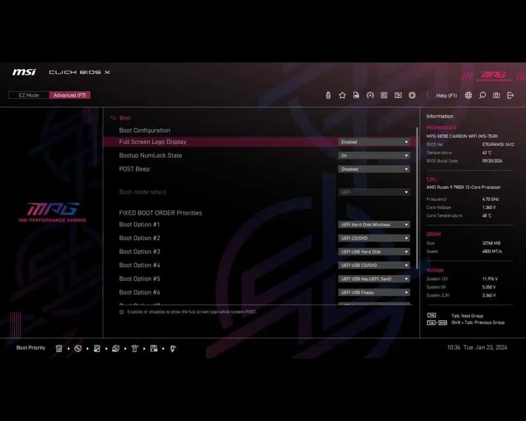BIOS Screen