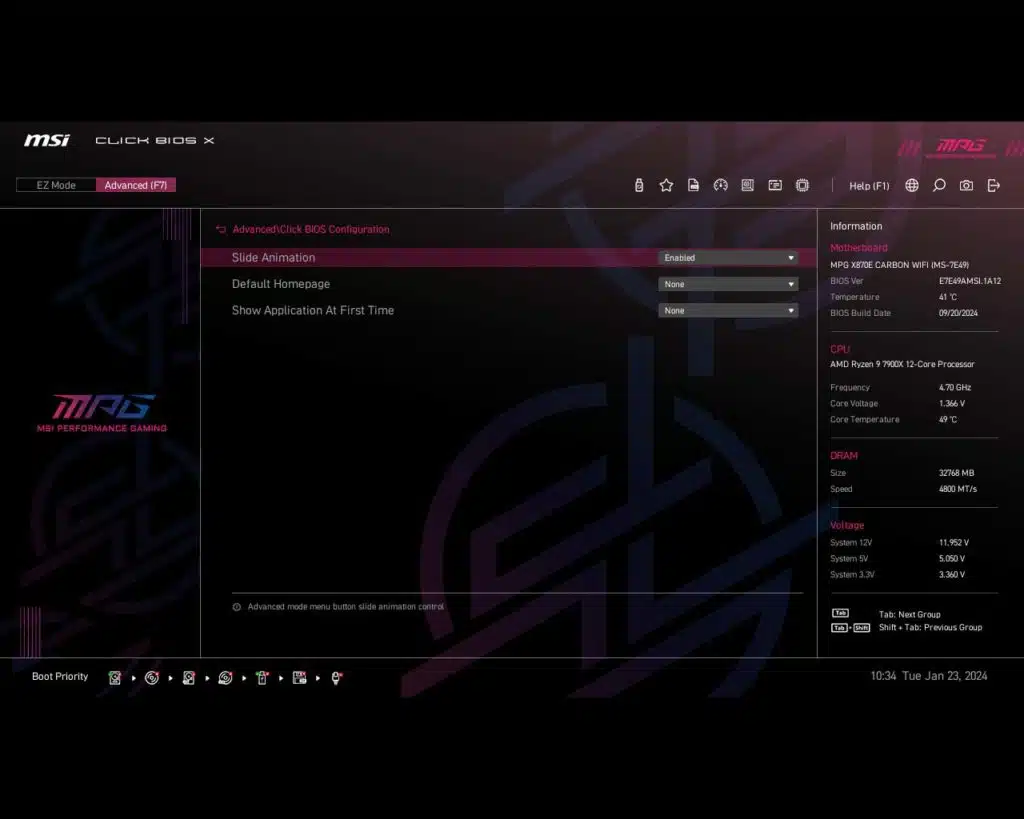 BIOS Screen
