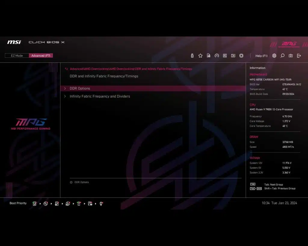 BIOS Screen