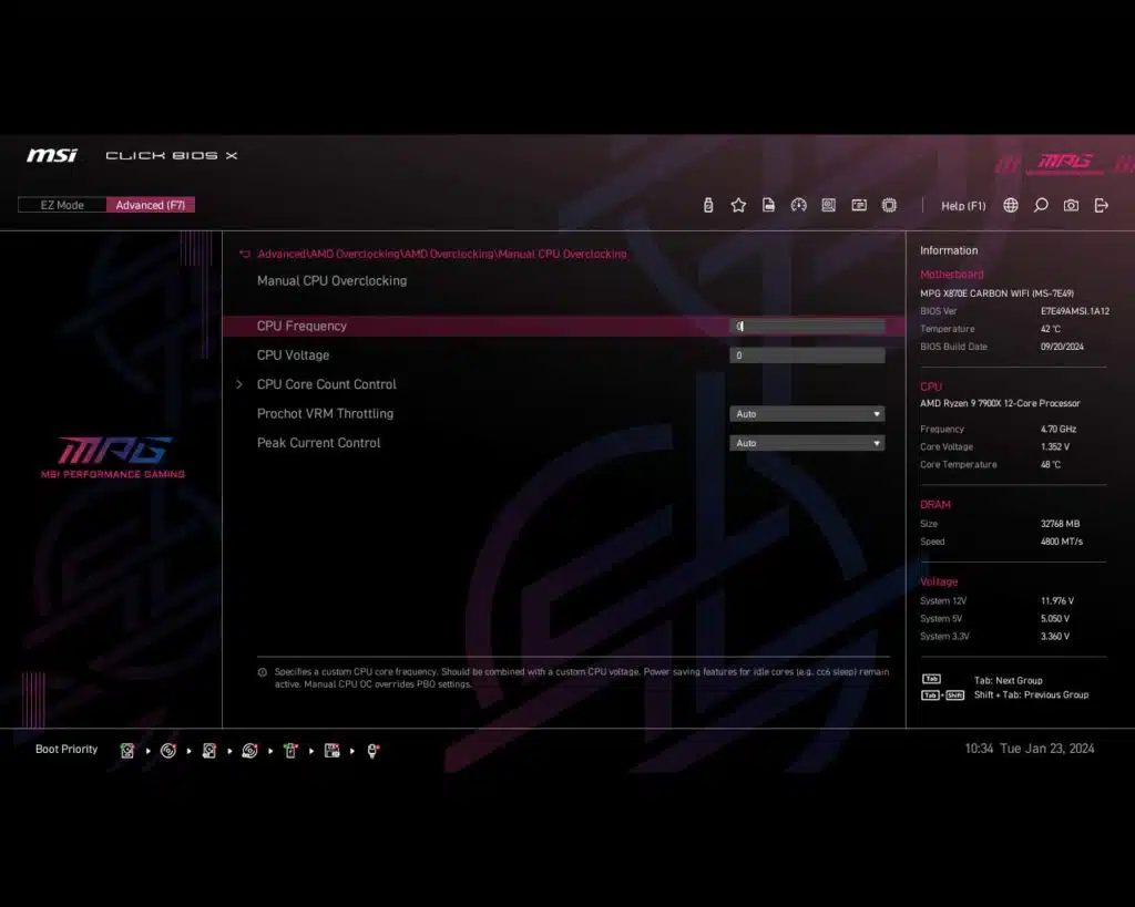 BIOS Screen