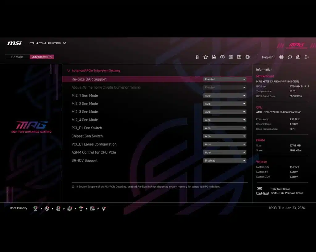BIOS Screen