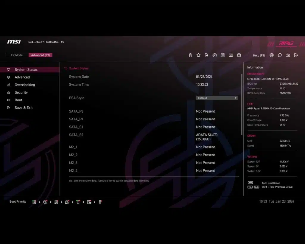 BIOS Screen