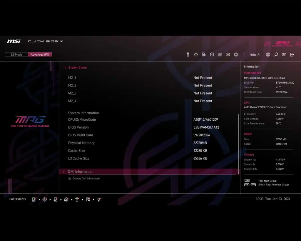 BIOS Screen