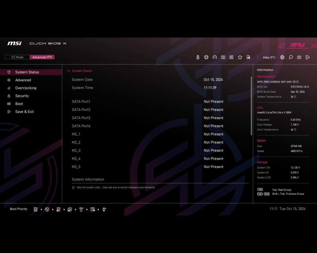 BIOS Screenshot