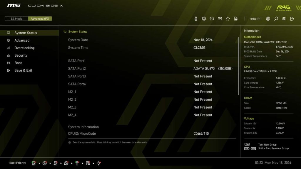 BIOS Screenshot