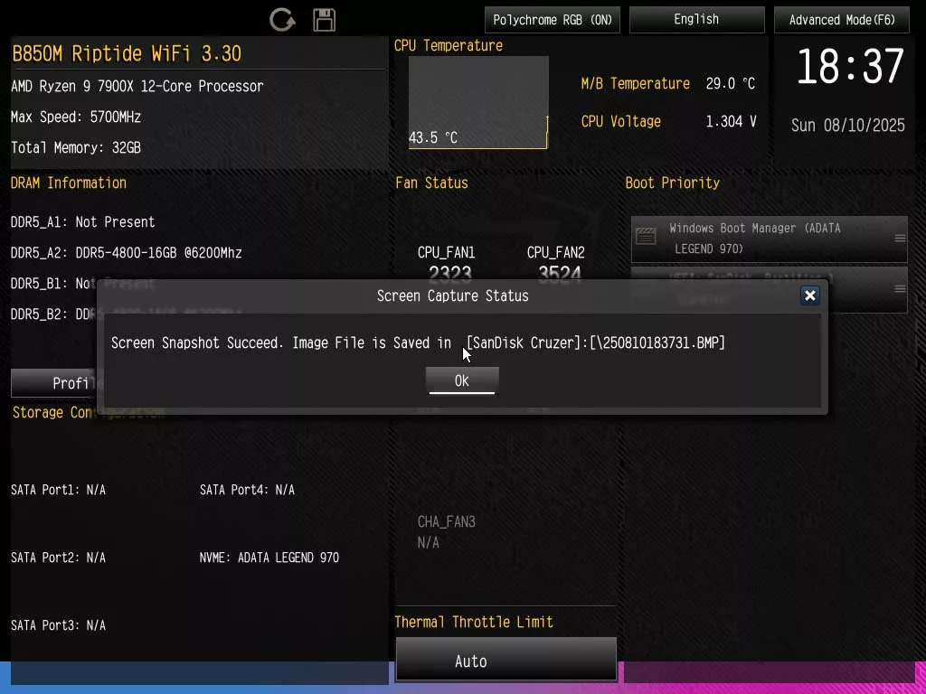 BIOS screen