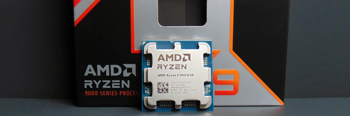 AMD Ryzen 9 9900X3D CPU and Box